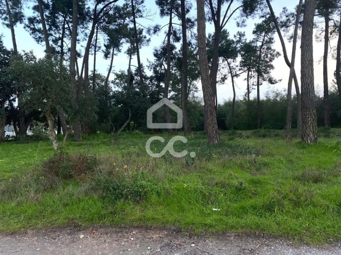 Terreno para Venda em Santo Antonio da Charneca Foto 3