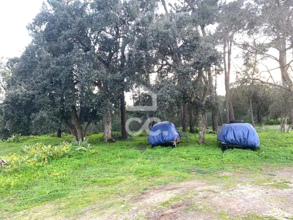Terreno para Venda em Santo Antonio da Charneca Foto 4