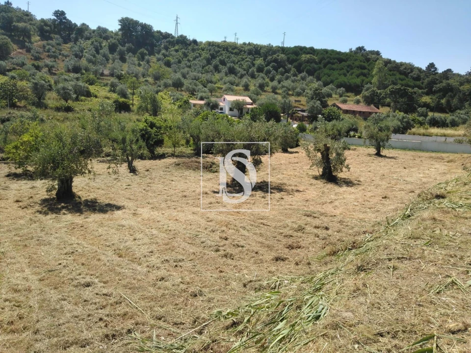 Terreno para Venda em Nossa Senhora da Piedade Foto 1