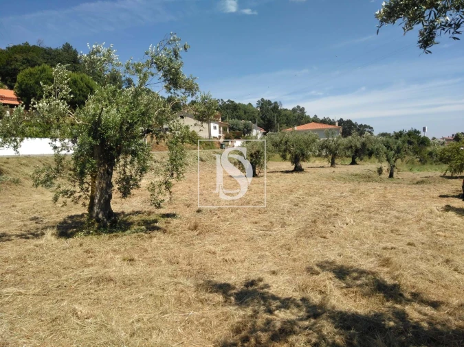 Terreno para Venda em Nossa Senhora da Piedade Foto 3