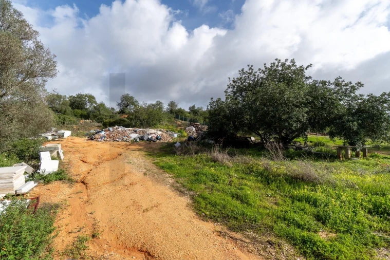Terreno para Venda em Loule (São Clemente) Foto 8