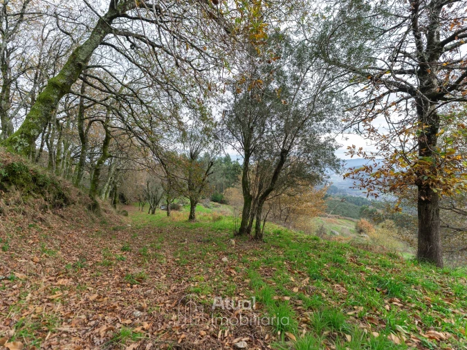 Moradia T3 para Venda em Sande, Vilarinho, Barros e Gomide Foto 44