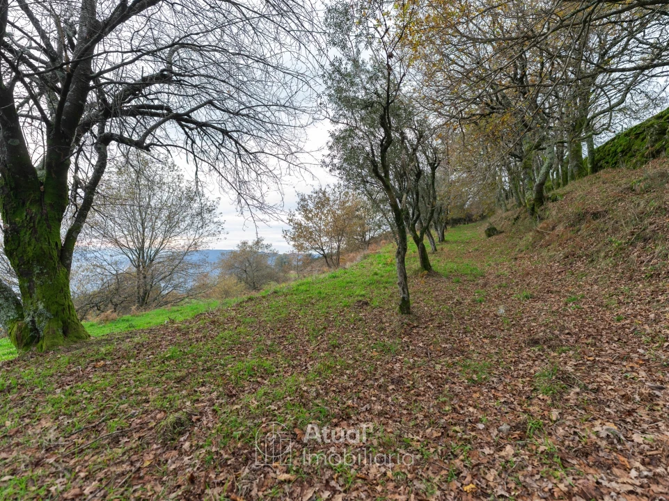 Moradia T3 para Venda em Sande, Vilarinho, Barros e Gomide Foto 40