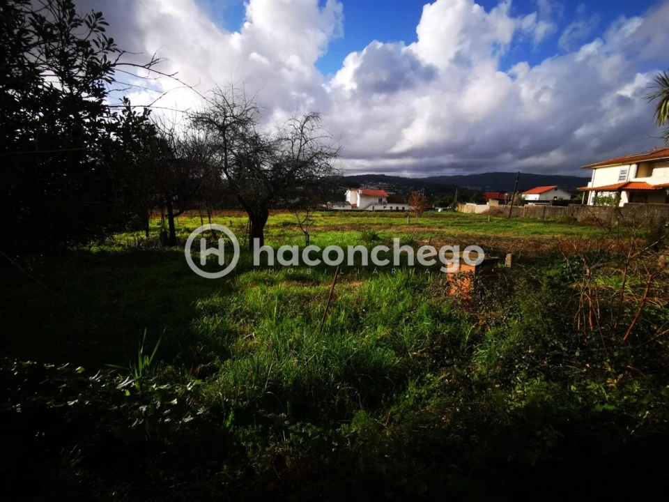Terreno para Venda em Tamel (São Verissimo) Foto 5
