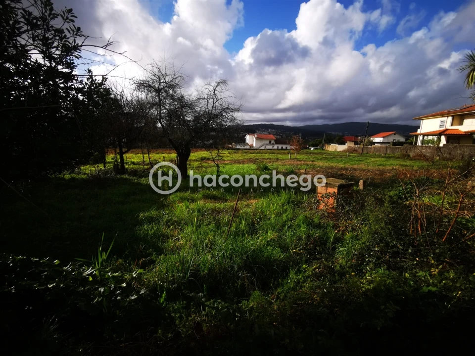 Terreno para Venda em Tamel (São Verissimo) Foto 8