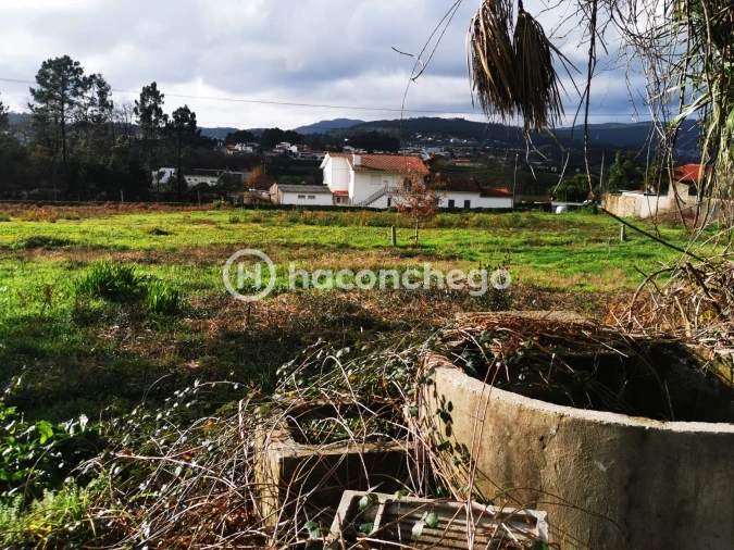 Terreno para Venda em Tamel (São Verissimo) Foto 2