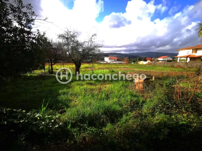 Terreno para Venda em Tamel (São Verissimo) Foto 9