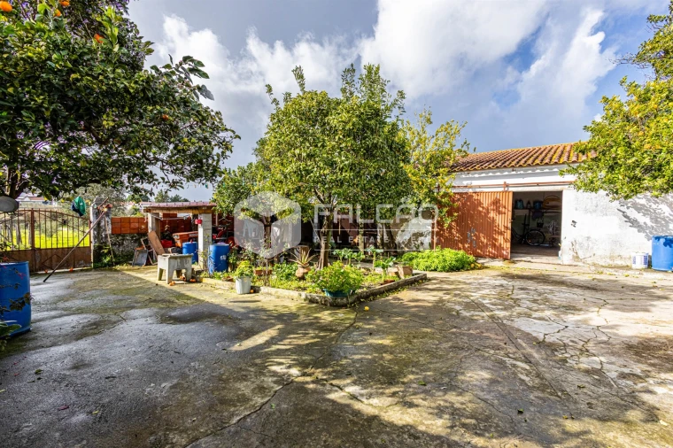 Moradia T4 para Venda em Alcanhões Foto 3