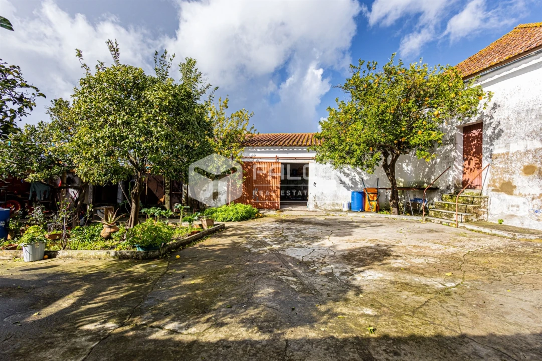 Moradia T4 para Venda em Alcanhões Foto 2