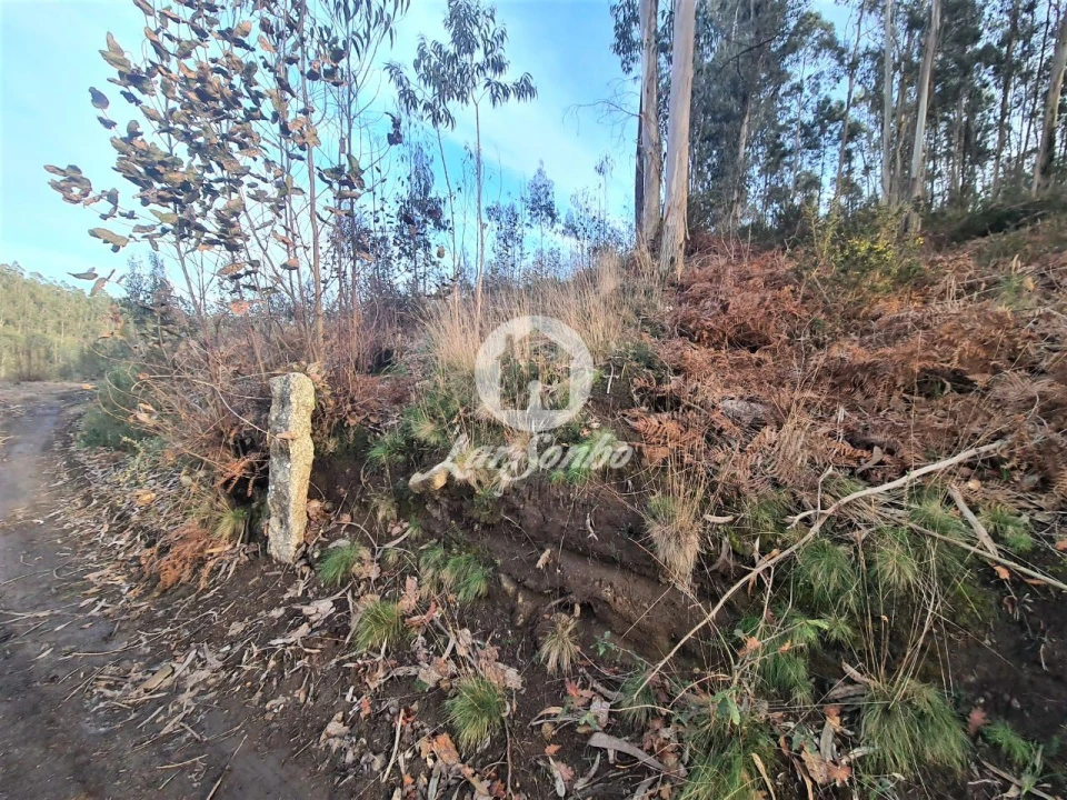 Terreno Agricola ou Rústico para Venda em Retorta e Tougues Foto 1