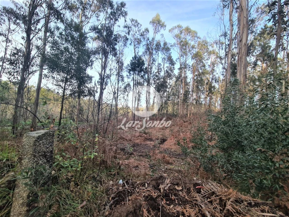 Terreno Agricola ou Rústico para Venda em Retorta e Tougues Foto 7