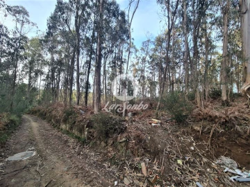 Terreno Agricola ou Rústico para Venda em Retorta e Tougues