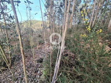 Terreno Agricola ou Rústico para Venda em Retorta e Tougues