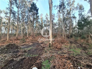 Terreno Agricola ou Rústico para Venda em Retorta e Tougues