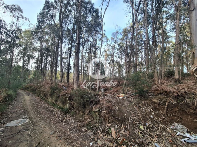 Terreno Agricola ou Rústico para Venda em Retorta e Tougues Foto 3