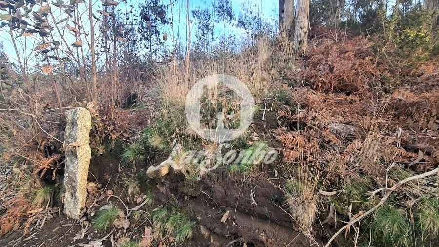 Terreno Agricola ou Rústico para Venda em Retorta e Tougues