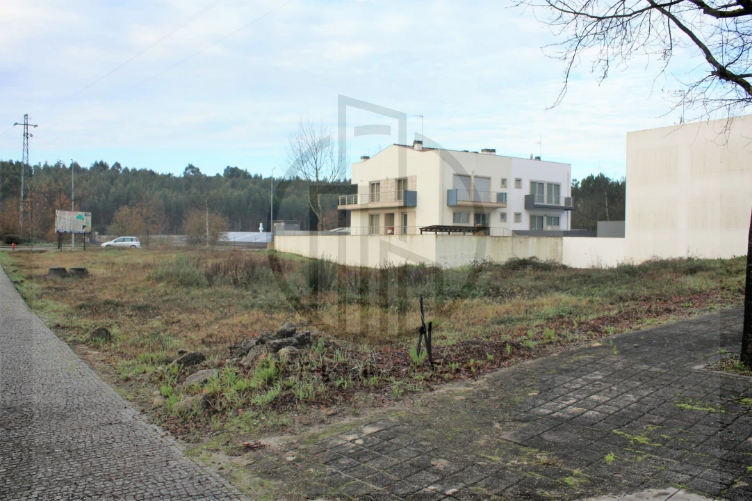 Terreno para Venda em Folgosa Foto 4