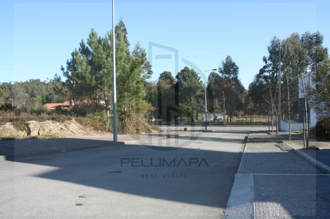 Terreno para Venda em Folgosa Foto 4