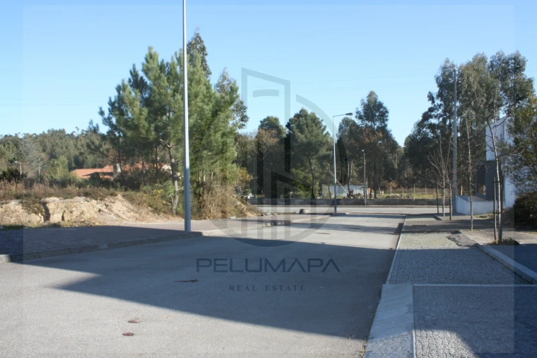 Terreno para Venda em Folgosa Foto 4