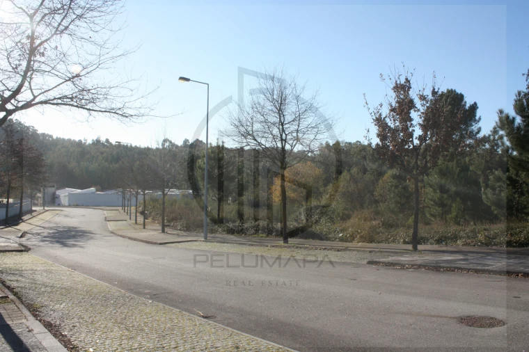 Terreno para Venda em Folgosa Foto 6