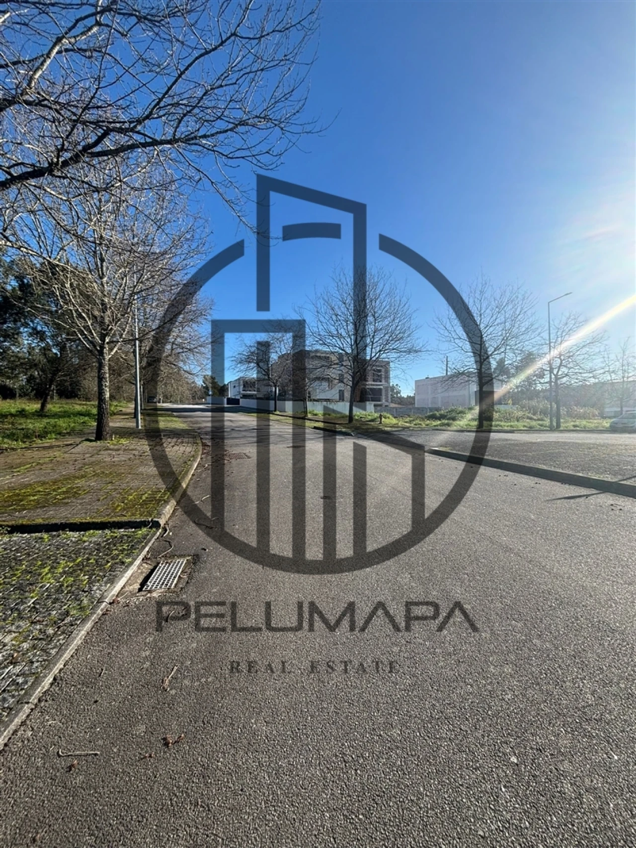 Terreno para Venda em Folgosa Foto 2