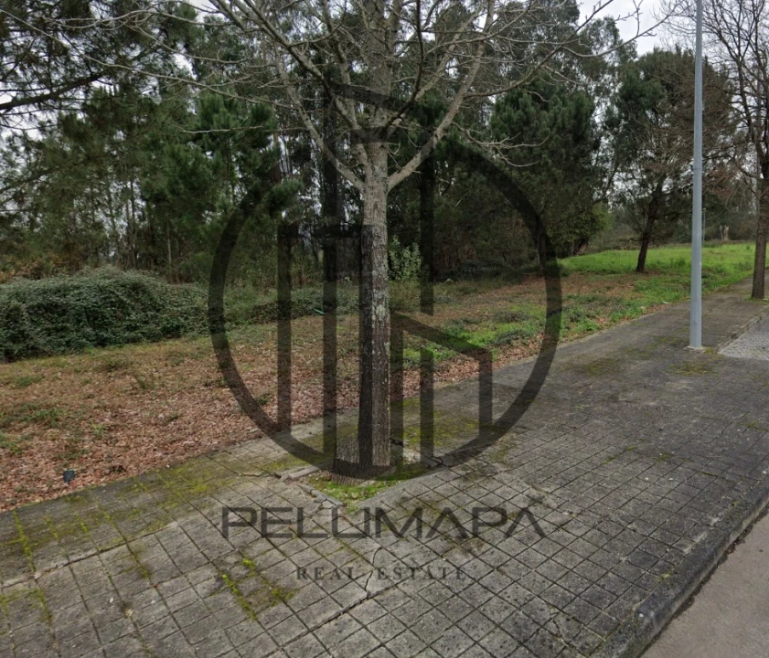 Terreno para Venda em Folgosa Foto 1