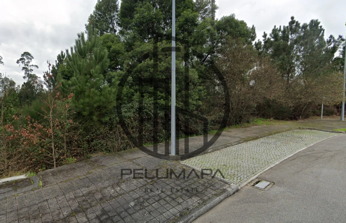 Terreno para Venda em Folgosa Foto 2