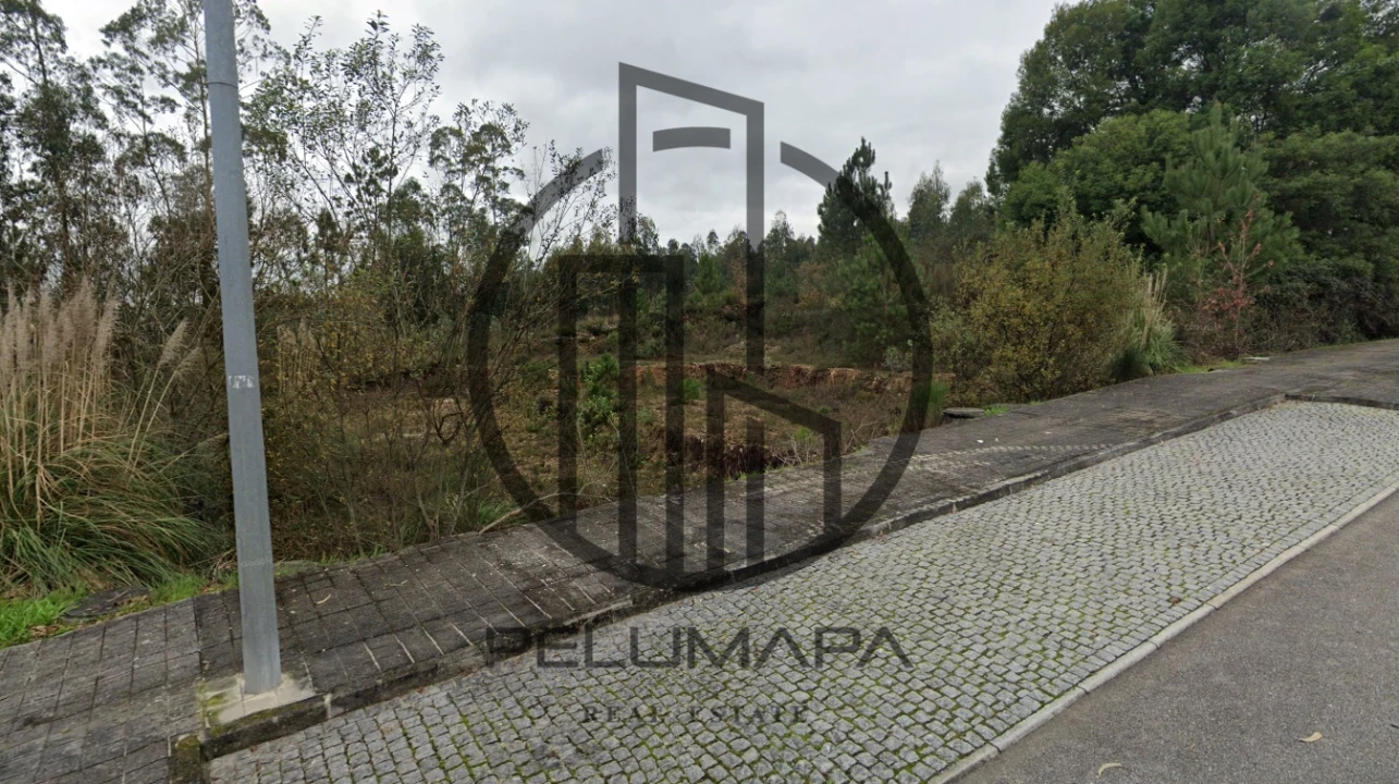 Terreno para Venda em Folgosa Foto 2