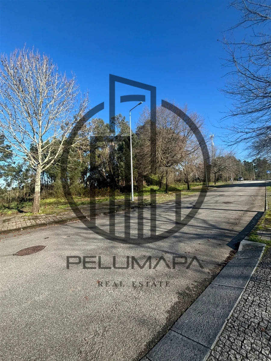 Terreno para Venda em Folgosa Foto 1