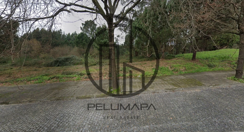 Terreno para Venda em Folgosa Foto 2