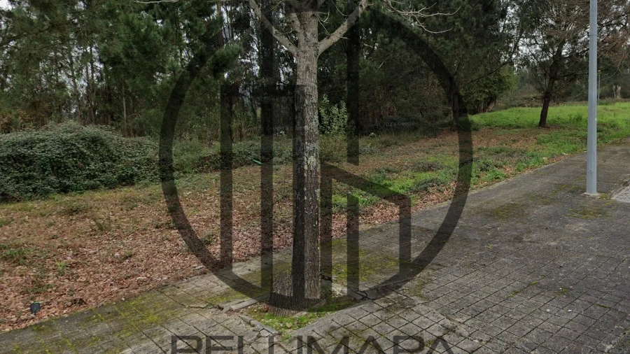 Terreno para Venda em Folgosa