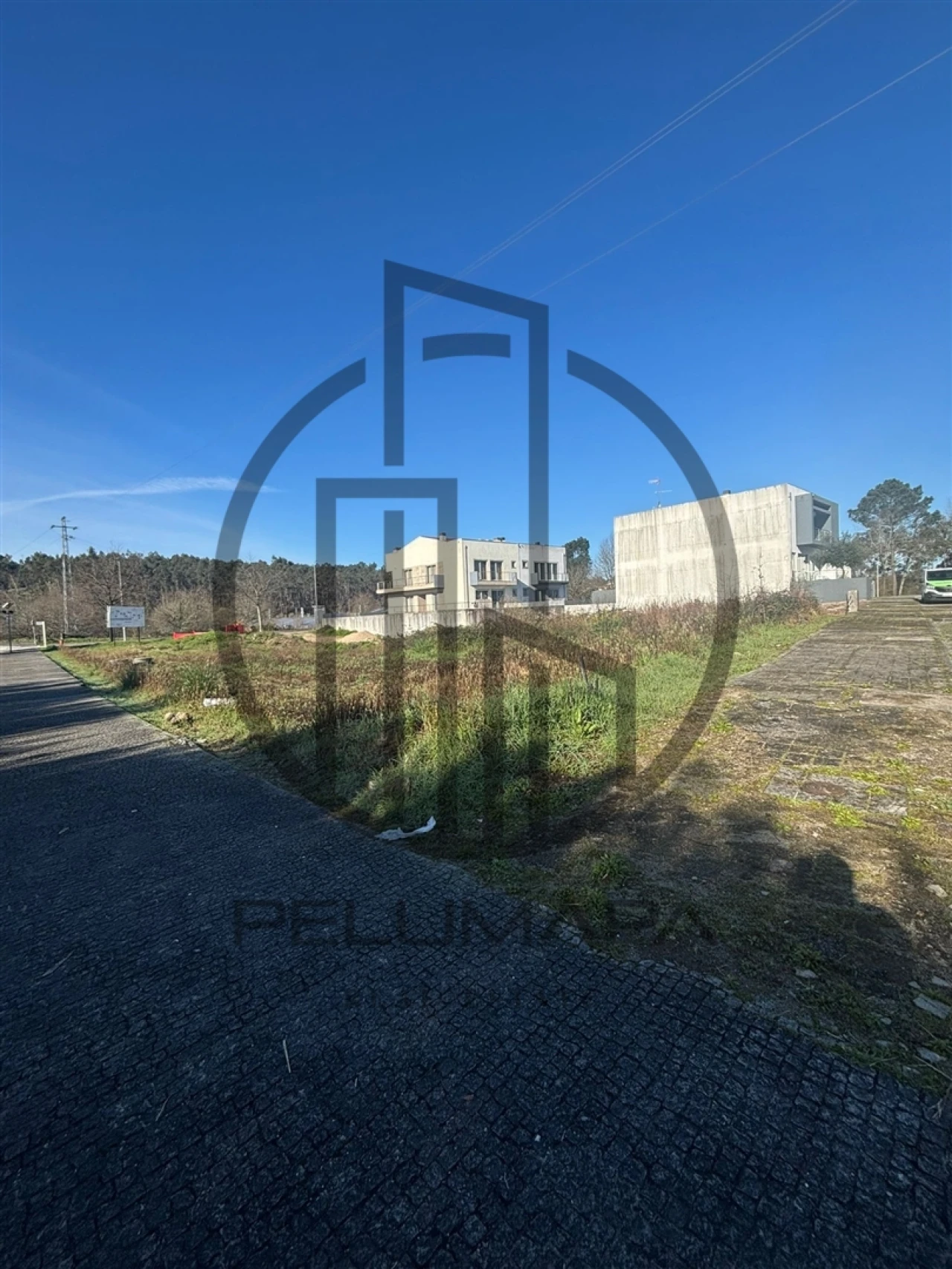 Terreno para Venda em Folgosa Foto 1