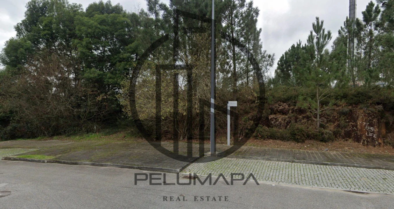 Terreno para Venda em Folgosa Foto 1