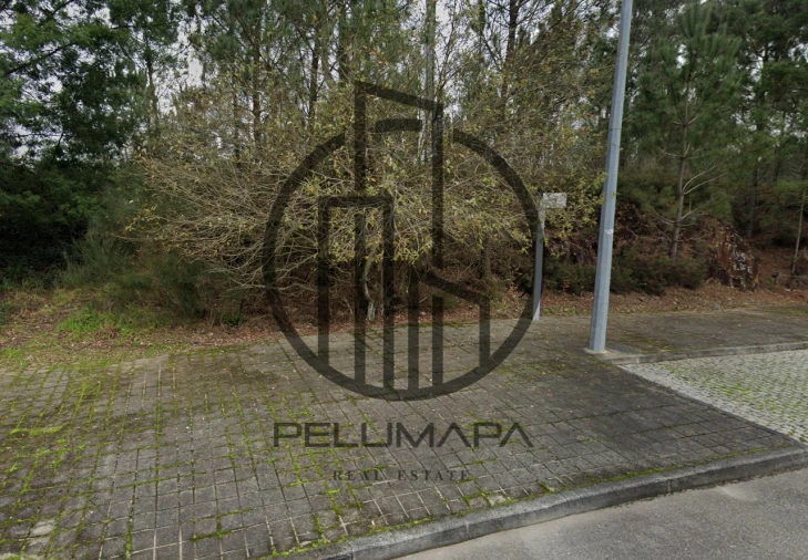 Terreno para Venda em Folgosa Foto 2