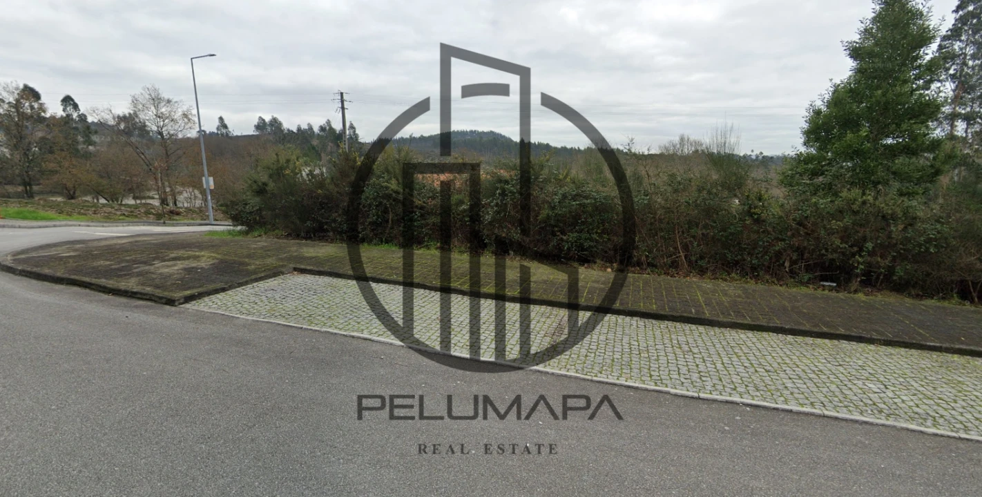 Terreno para Venda em Folgosa Foto 3