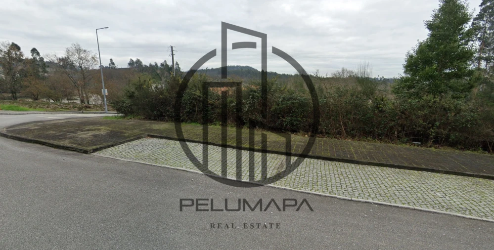 Terreno para Venda em Folgosa Foto 3