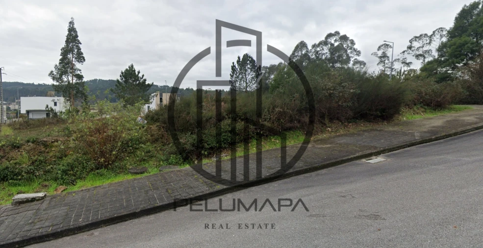 Terreno para Venda em Folgosa Foto 2