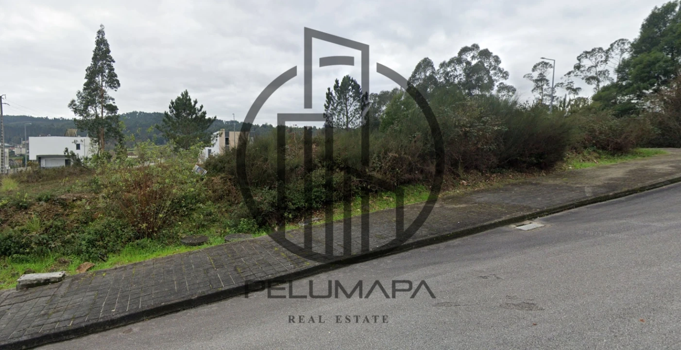 Terreno para Venda em Folgosa Foto 2