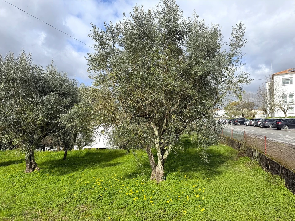 Moradia T6 para Venda em Tabua Foto 17