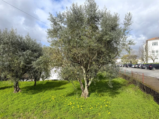 Moradia T6 para Venda em Tabua Foto 17