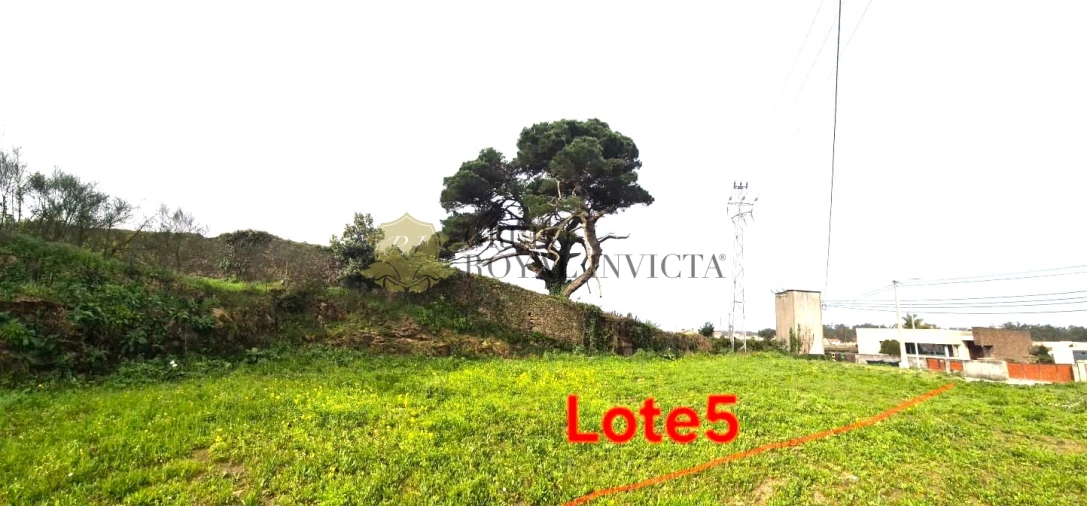 Terreno para Venda em Aver-O-Mar, Amorim e Terroso Foto 5