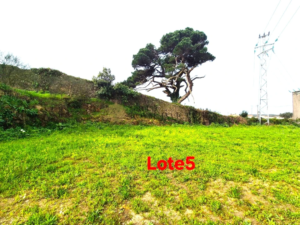 Terreno para Venda em Aver-O-Mar, Amorim e Terroso Foto 4