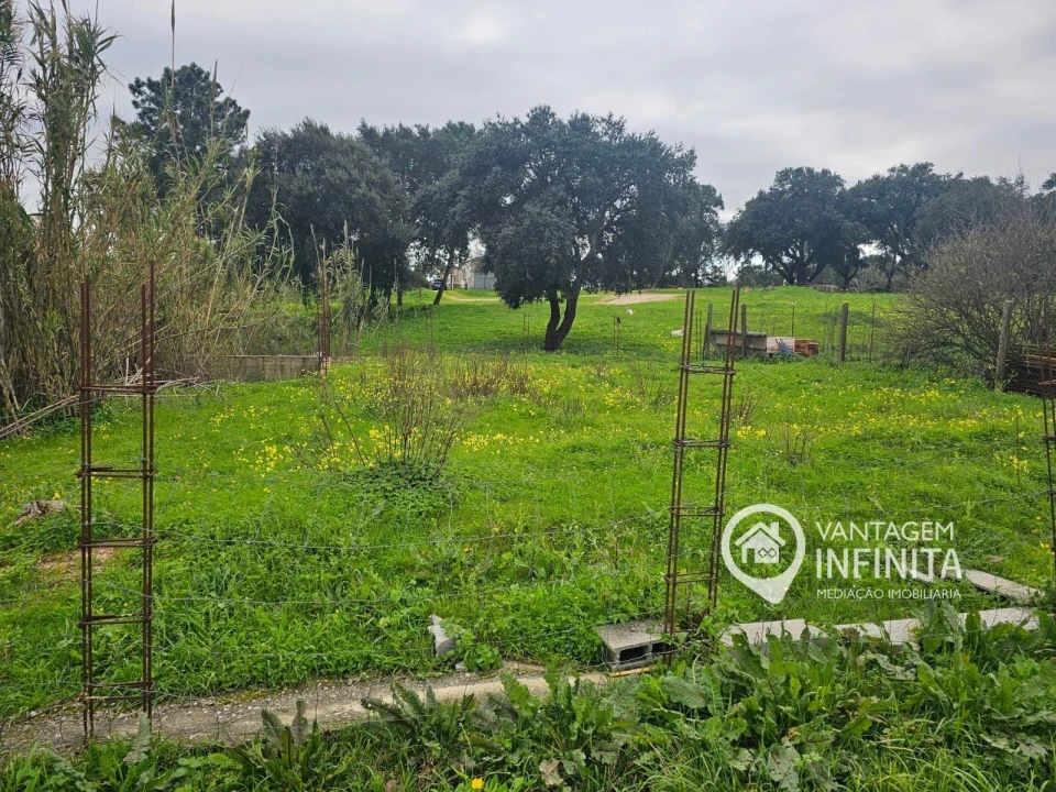 Terreno para Venda em Santo Antonio da Charneca Foto 6