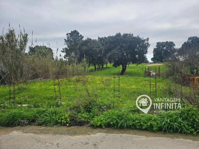 Terreno para Venda em Santo Antonio da Charneca Foto 2