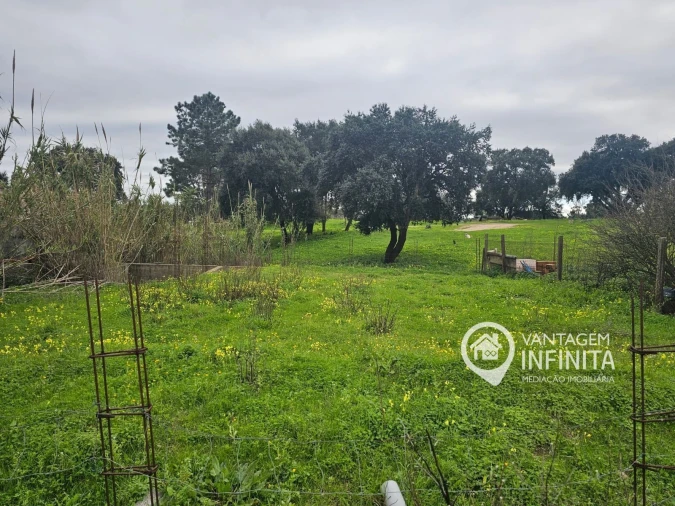 Terreno para Venda em Santo Antonio da Charneca