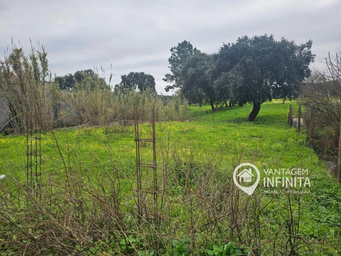 Terreno para Venda em Santo Antonio da Charneca Foto 4
