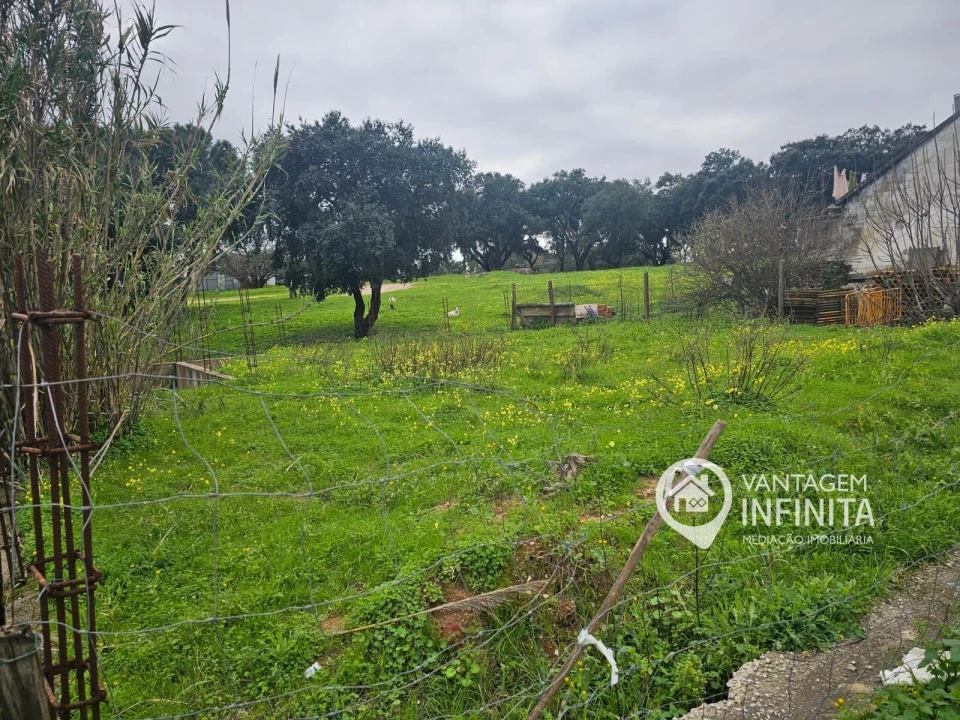 Terreno para Venda em Santo Antonio da Charneca Foto 5