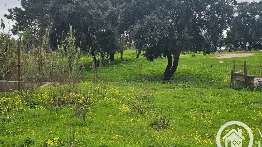 Terreno para Venda em Santo Antonio da Charneca
