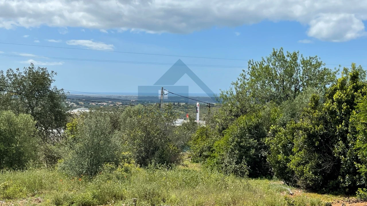 Terreno para Venda em Santa Barbara de Nexe Foto 8