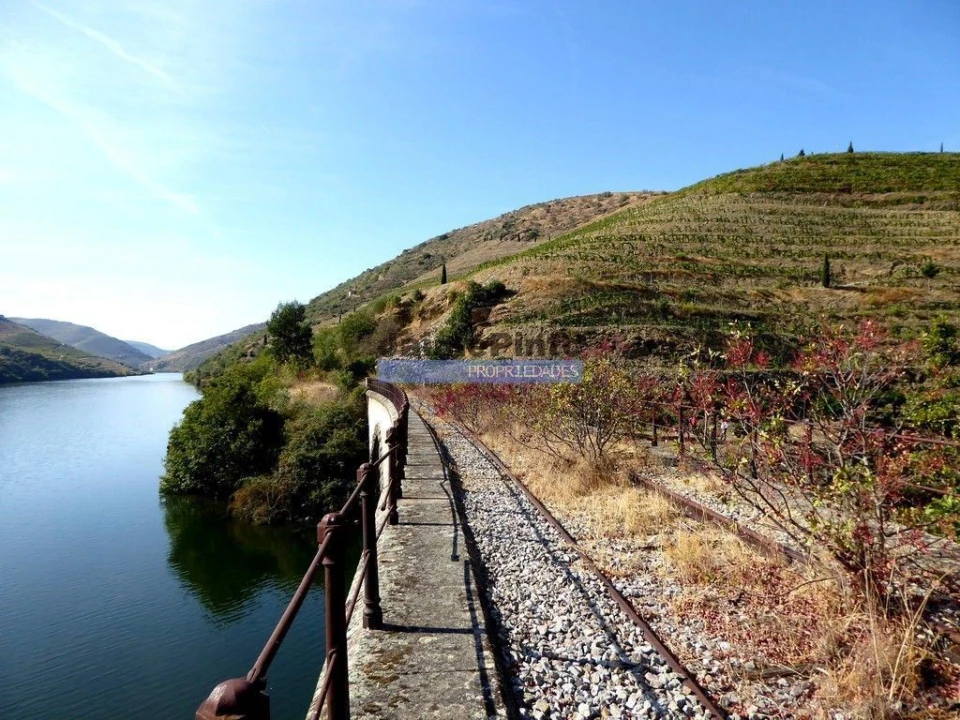 Terreno para Venda em São João da Pesqueira e Várzea de Trevões Foto 7